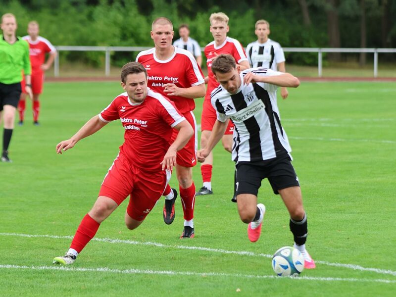 Landesliga-Elf erwartet gegen starken PFV eine echte Standortbestimmung